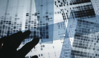 FORENSIC TESTING malta, DNA Consulta malta